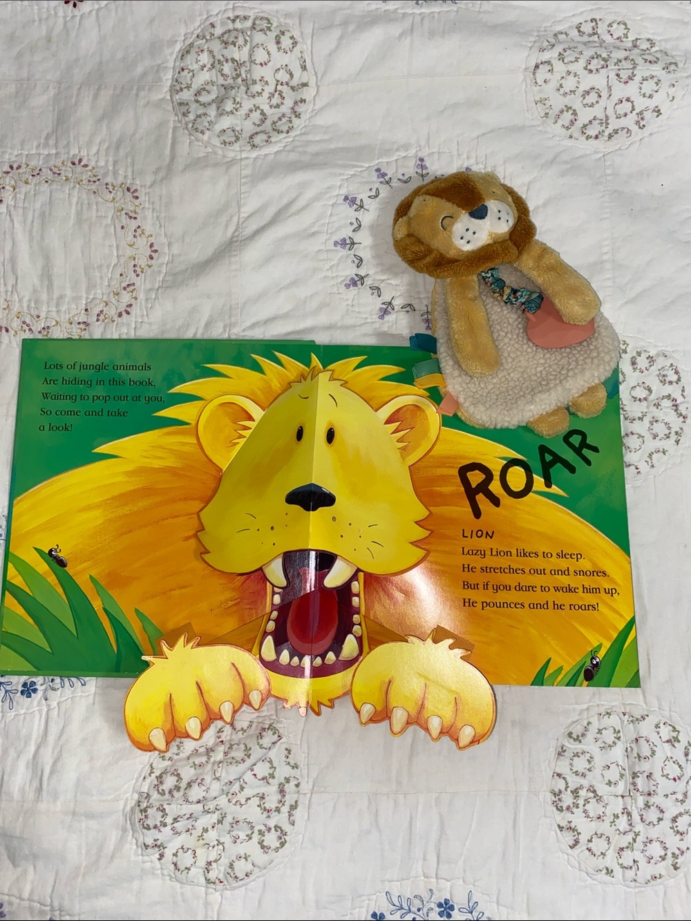 The Very Lazy Lion POP-UP Book & plush teether toy